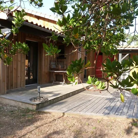 Maison Bois Proche Bassin Ref6 Ferienhaus